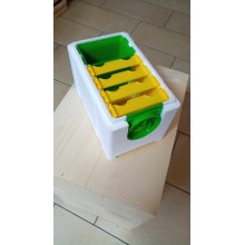 Mininucleu imperechere cu 4 rame