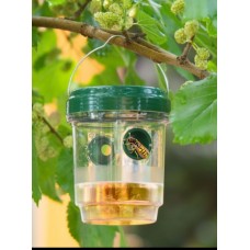 Capcana pentru viespi cu alimentare solara